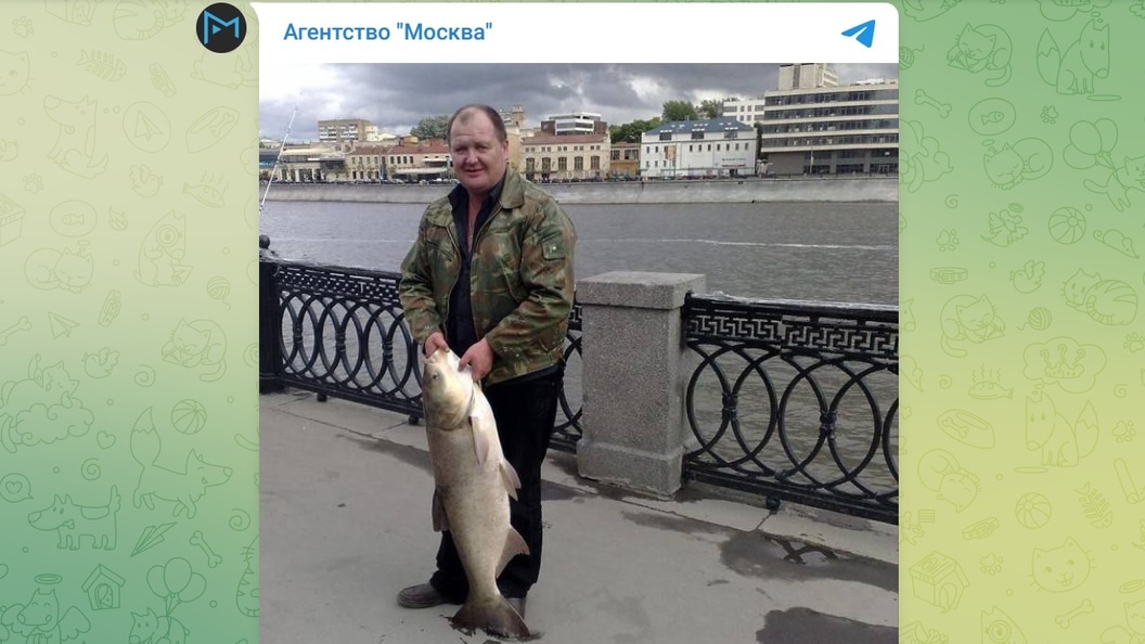    Телеграм-канал «Агентство "Москва"»