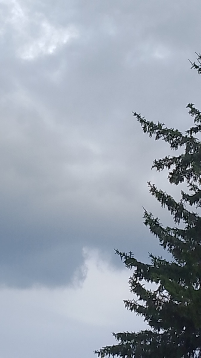 Вот так у нас сейчас..