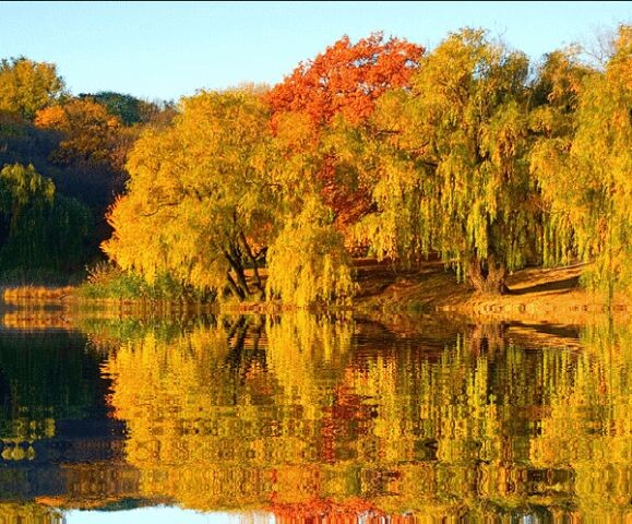 Фото из  просторов интернета.