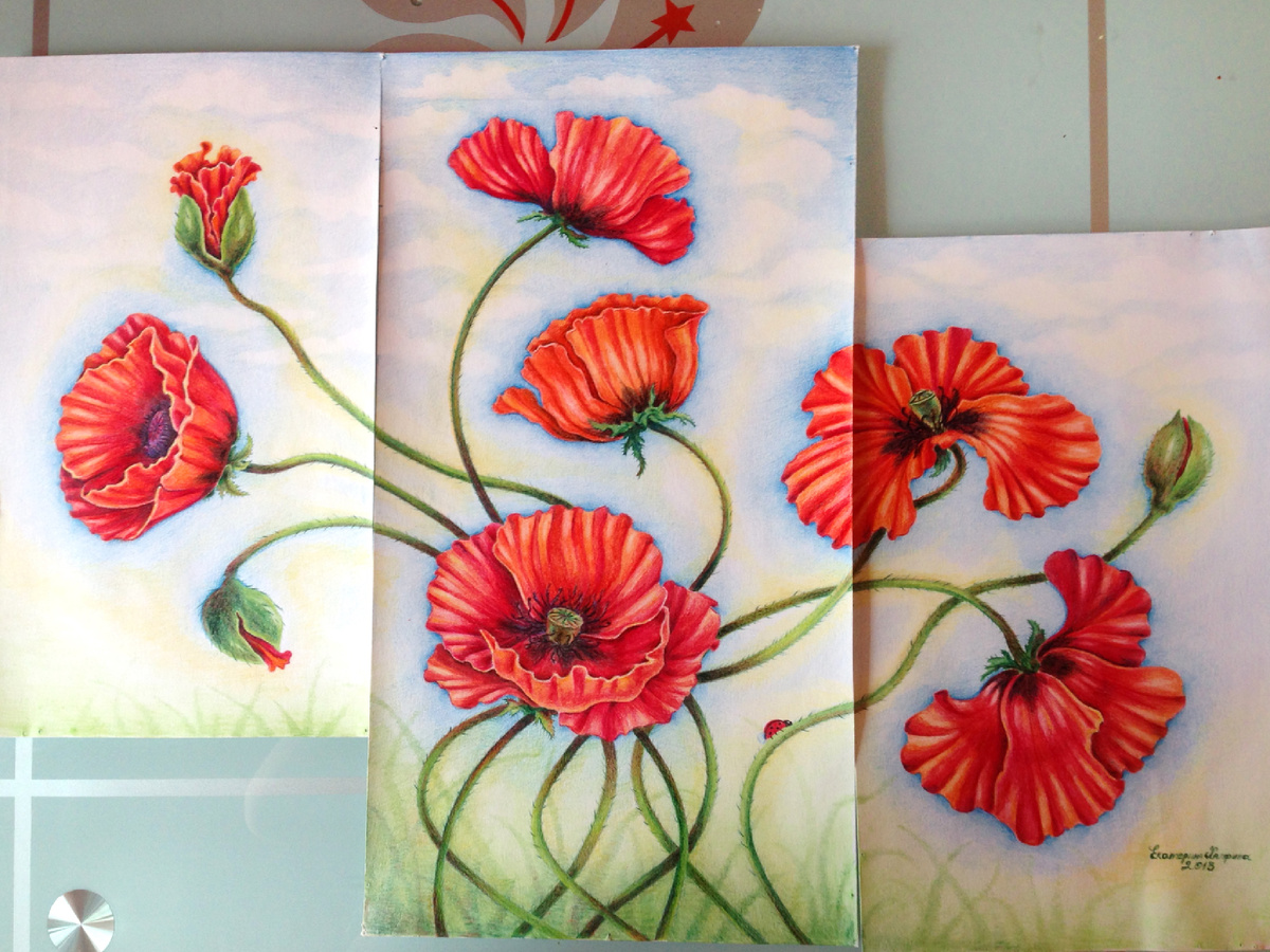 Маки. Триптих. Цветные карандаши. 