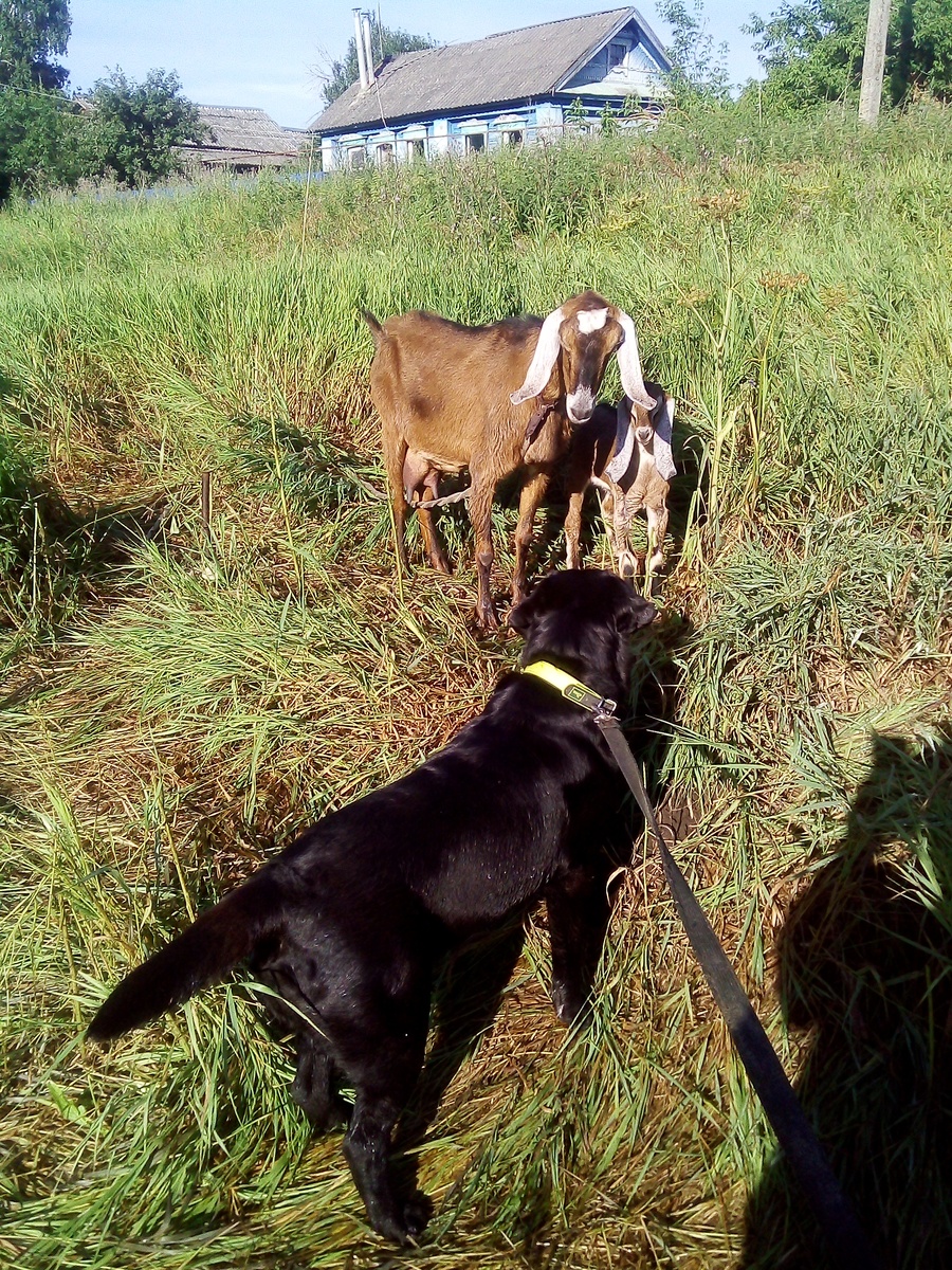 Фото автора. 