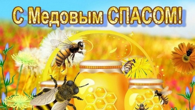 Фото: bestkartinki.ru