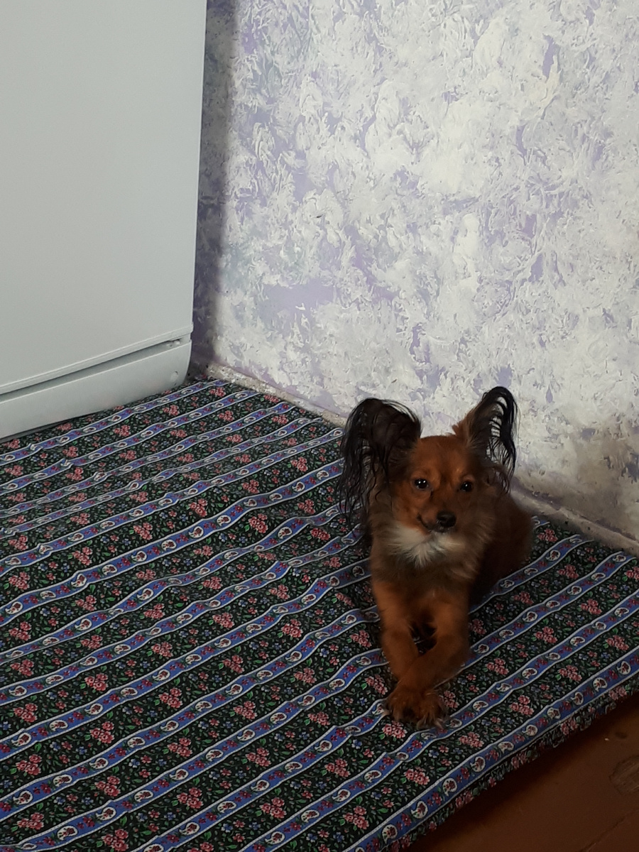 фото из личного архива.