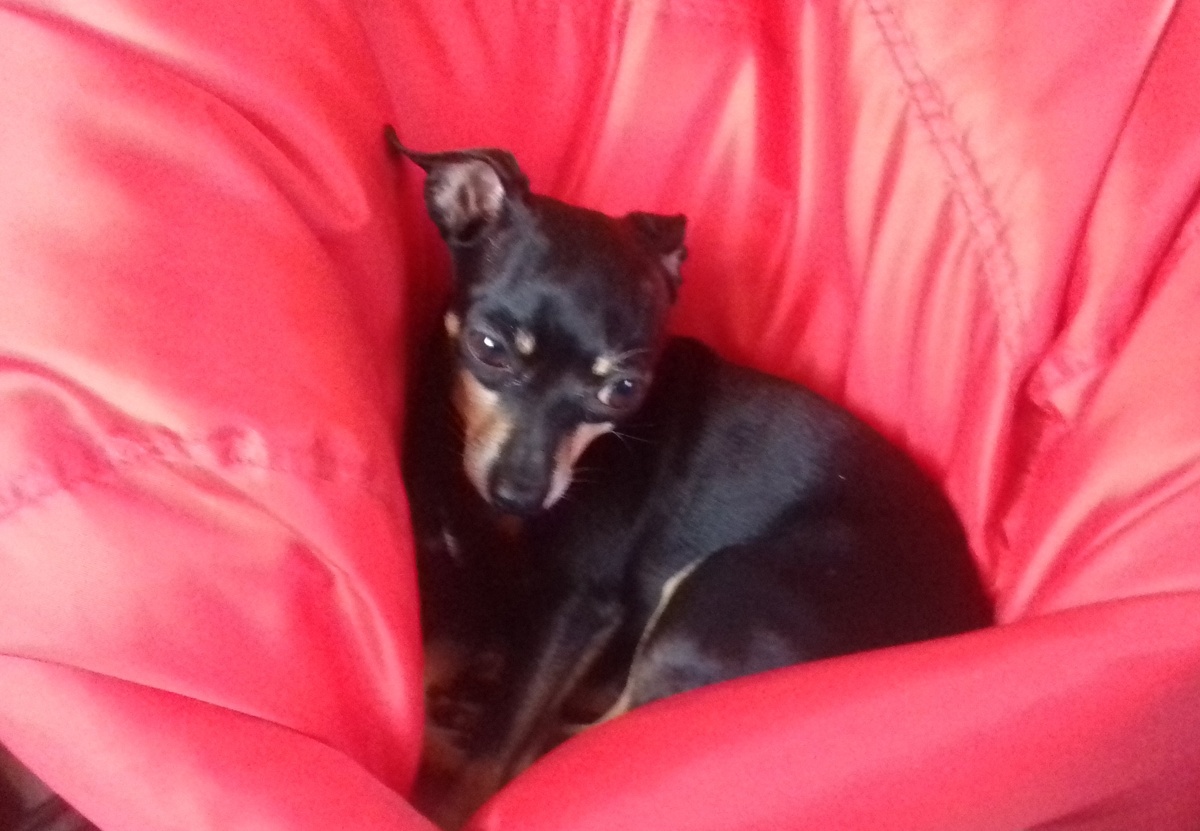 фото из личного архива