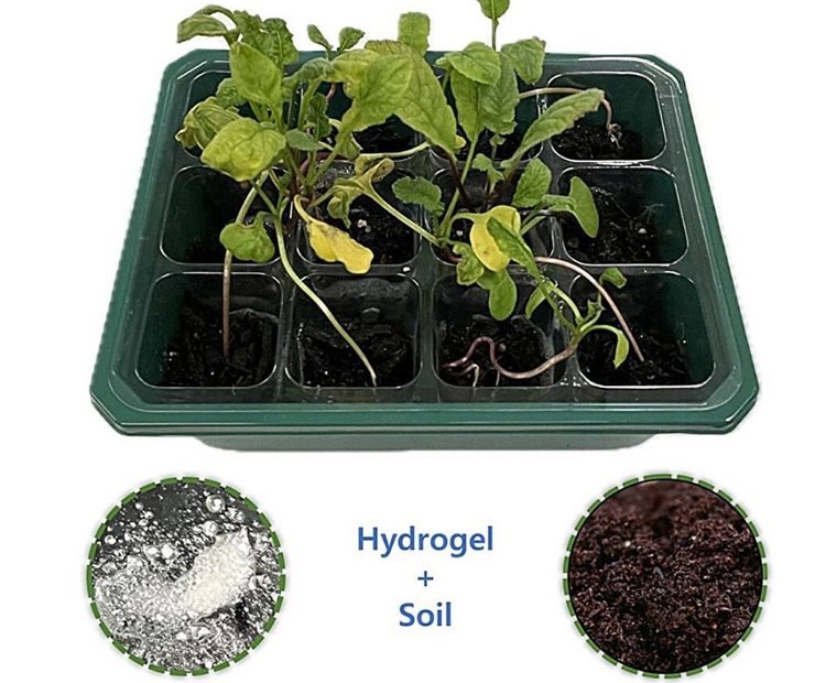     Самополивная почва с новым классом гидрогелей может обеспечить экономию воды на 40 процентов
