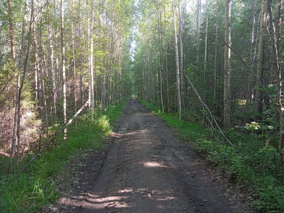 разобранная ж.д.