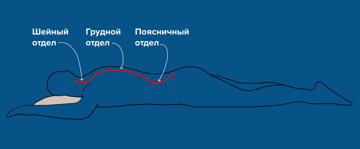 При этом в шейном отделе позвоночник искривляется не только вперёд, но и в сторону — из-за поворота головы 