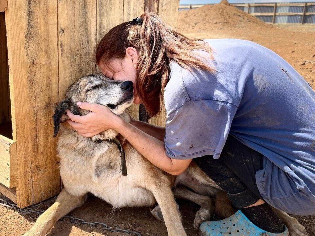 Волонтеры со спасенными от эвтаназии собаками© Фото из личного архива Марии Ткачевой