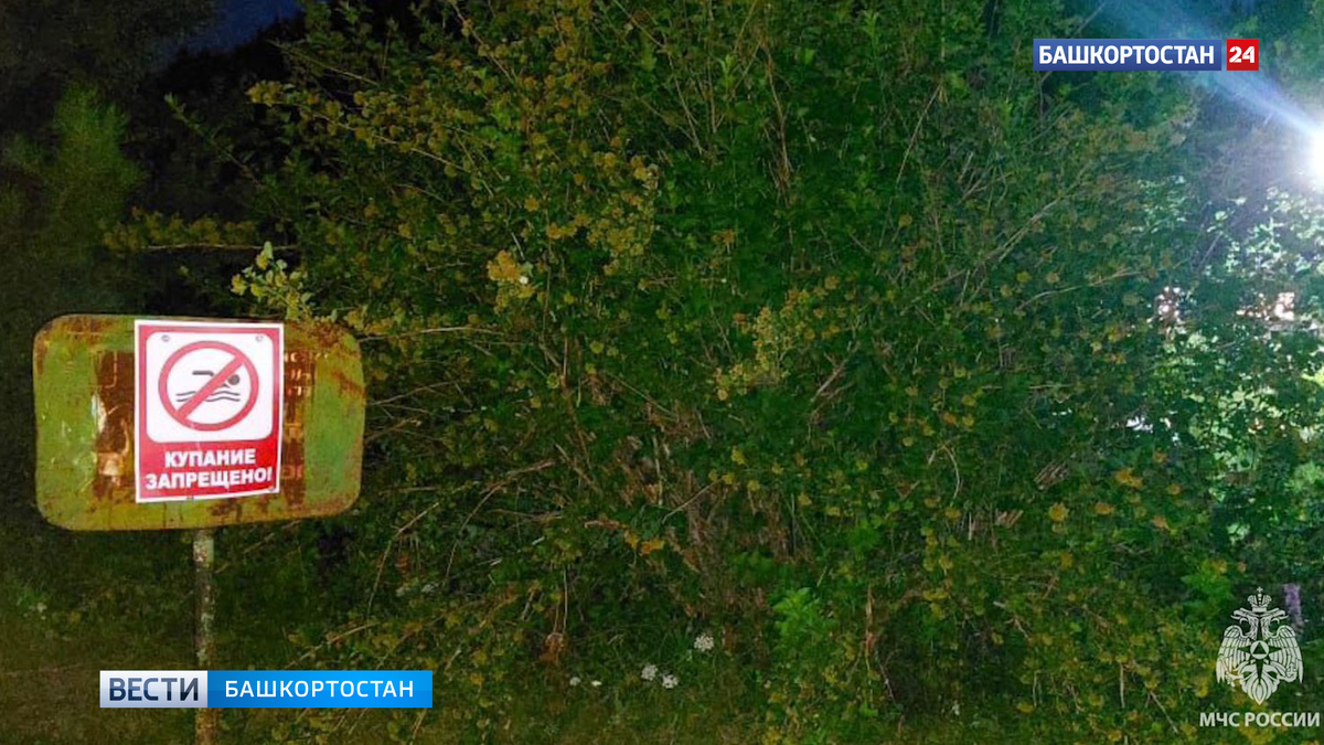    Сняли дом у пруда: в Башкирии во время отдыха на глазах у друзей утонул 19-летний парень