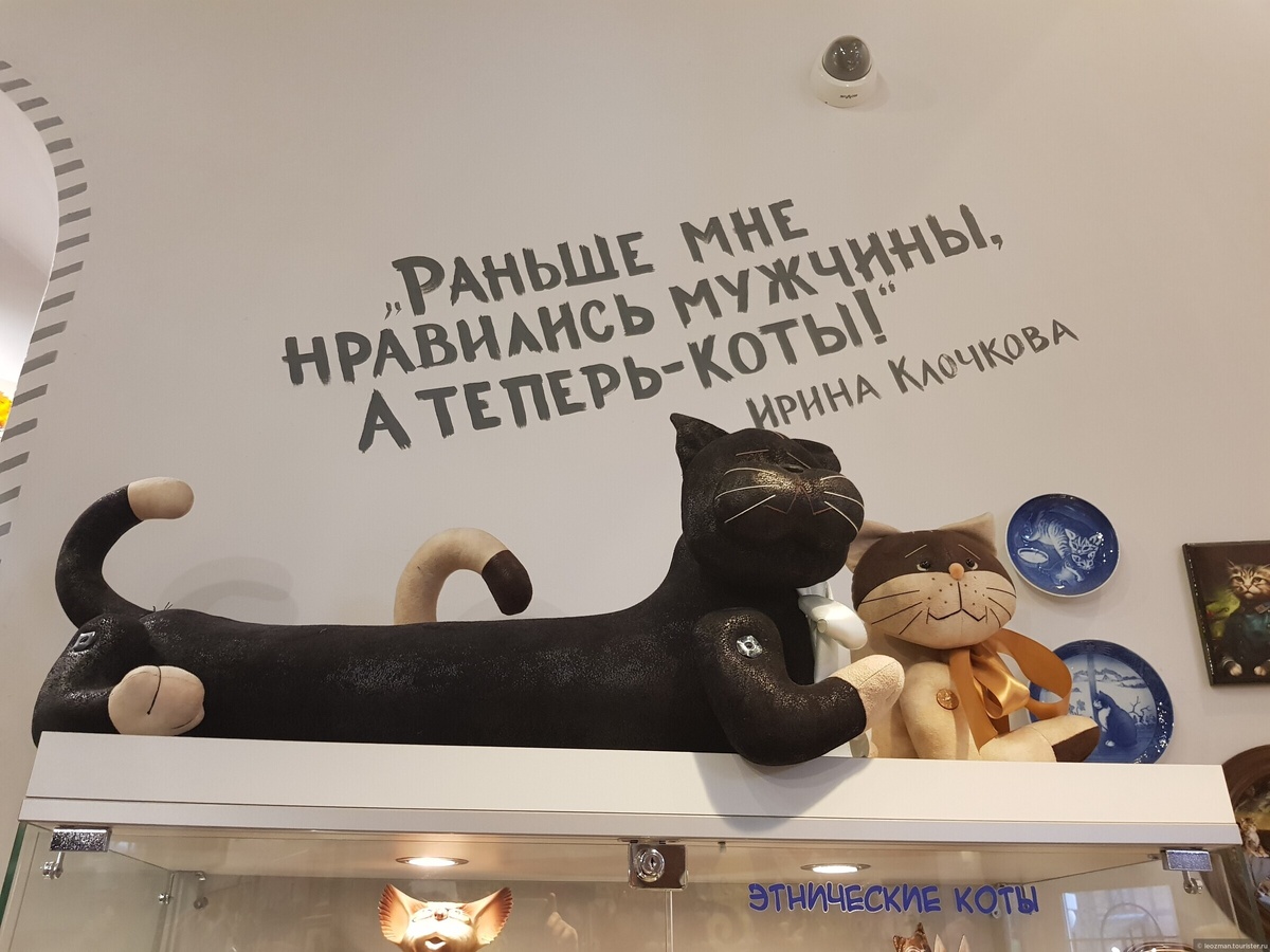 Источник Яндекс картинки. Музей кошек "Мурариум".