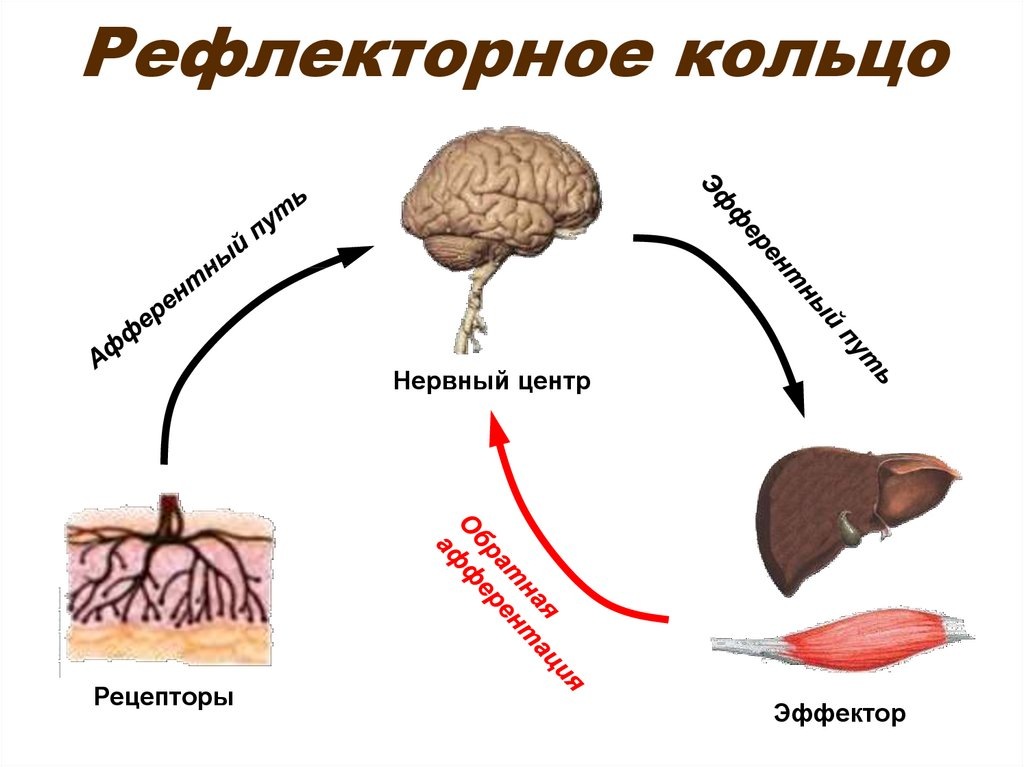 Закольцевали ощущение