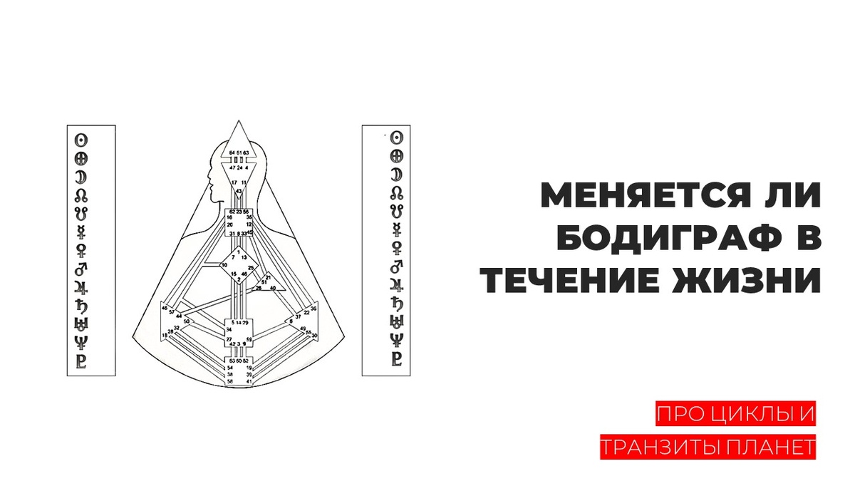 Меняется ли наш Бодиграф в течение жизни? | Лев Лившиц | Дзен