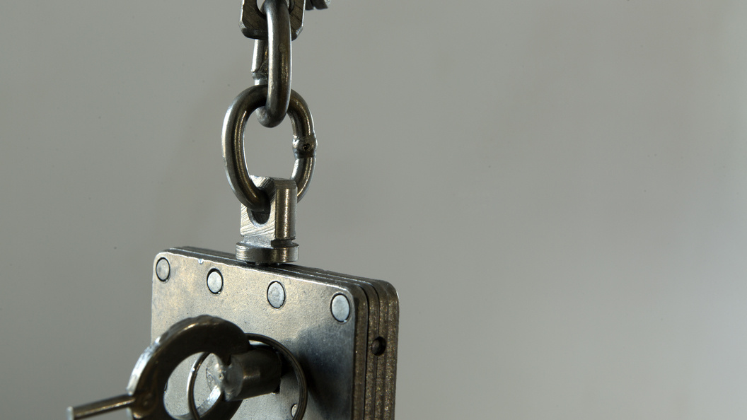    Nikolay Gyngazov/Global Look Press