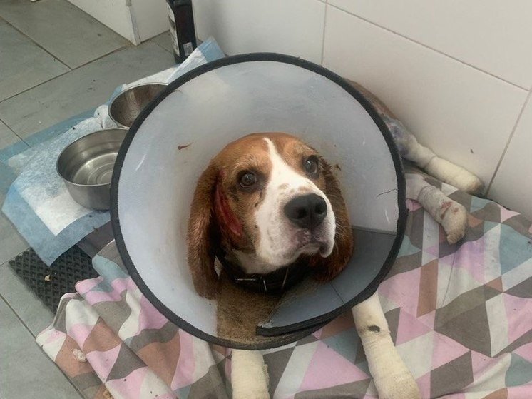     Фото: Евгений Водолазов