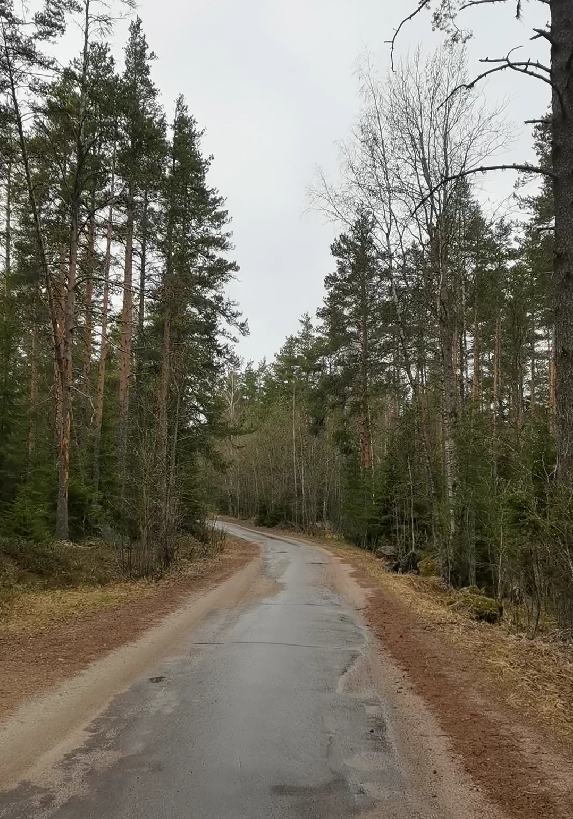 Некоторые фотографии вырезаны из видео - заранее приношу извинения за качество