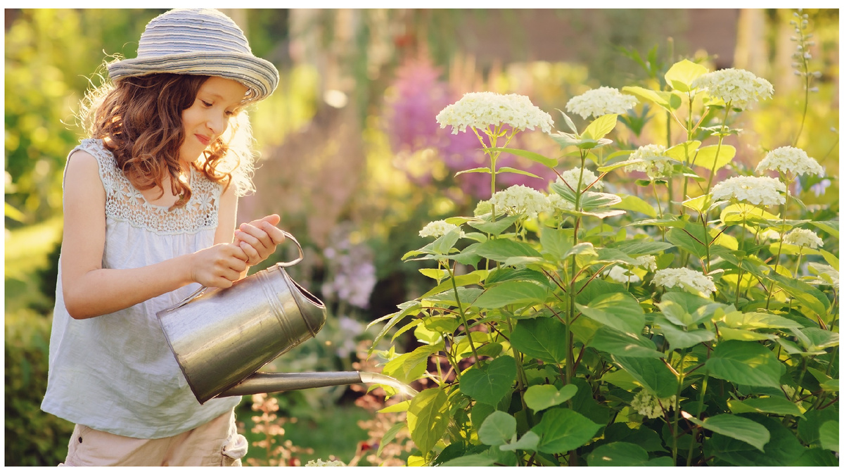 Теперь использую Цветочек и Агриколу.