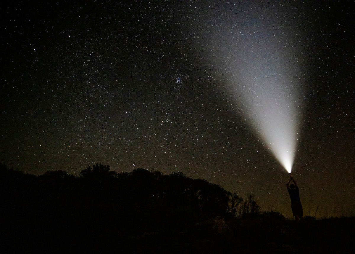 Источник: Freepik