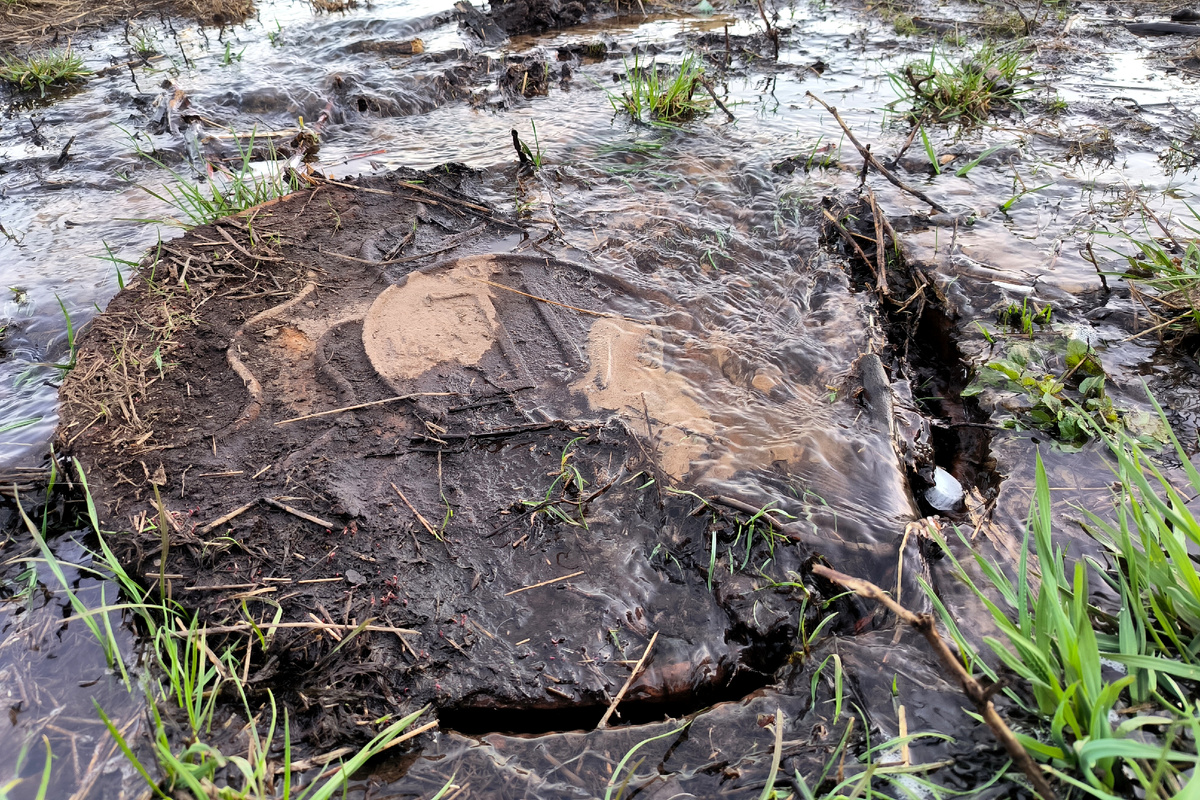 ФОТО: Maksim Konstantinov/Global Look Press 