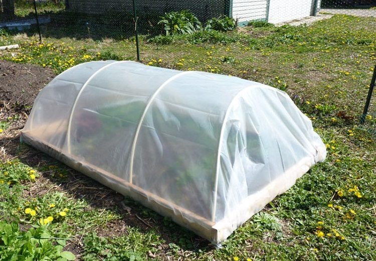 Парник из деревянного фундамента и пластиковых дуг. Покрытие полиэтиленовая пленка
