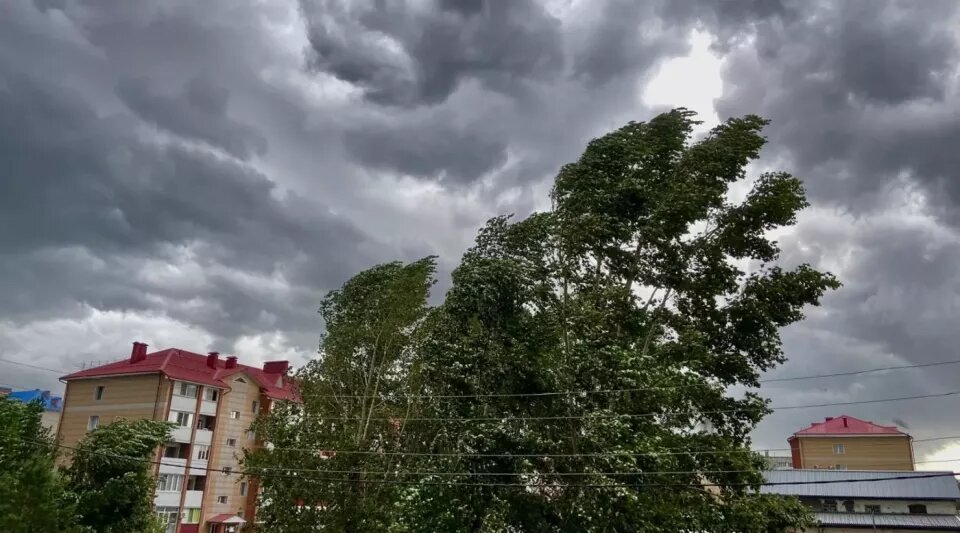    Ветер в Бийске. Источник: biwork.ru