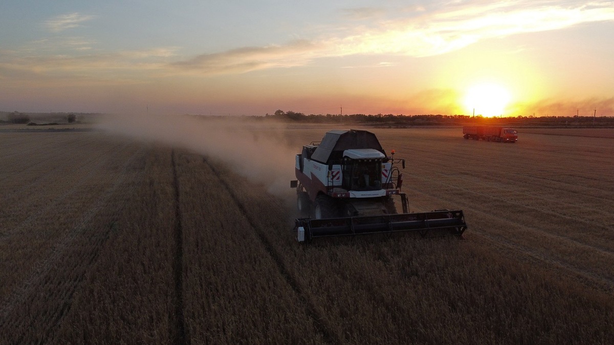   В этом году урожай зерновых в регионе пострадал от аномальной жары, заморозков и наводнений.