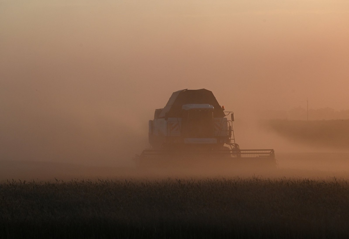    Из-за них в Ростовской области по прогнозам Министерства сельского хозяйства удастся собрать порядка 132 млн тонн, что на 9% меньше урожая 2023 года и на 16% ниже рекордных показателей 2022 года.
