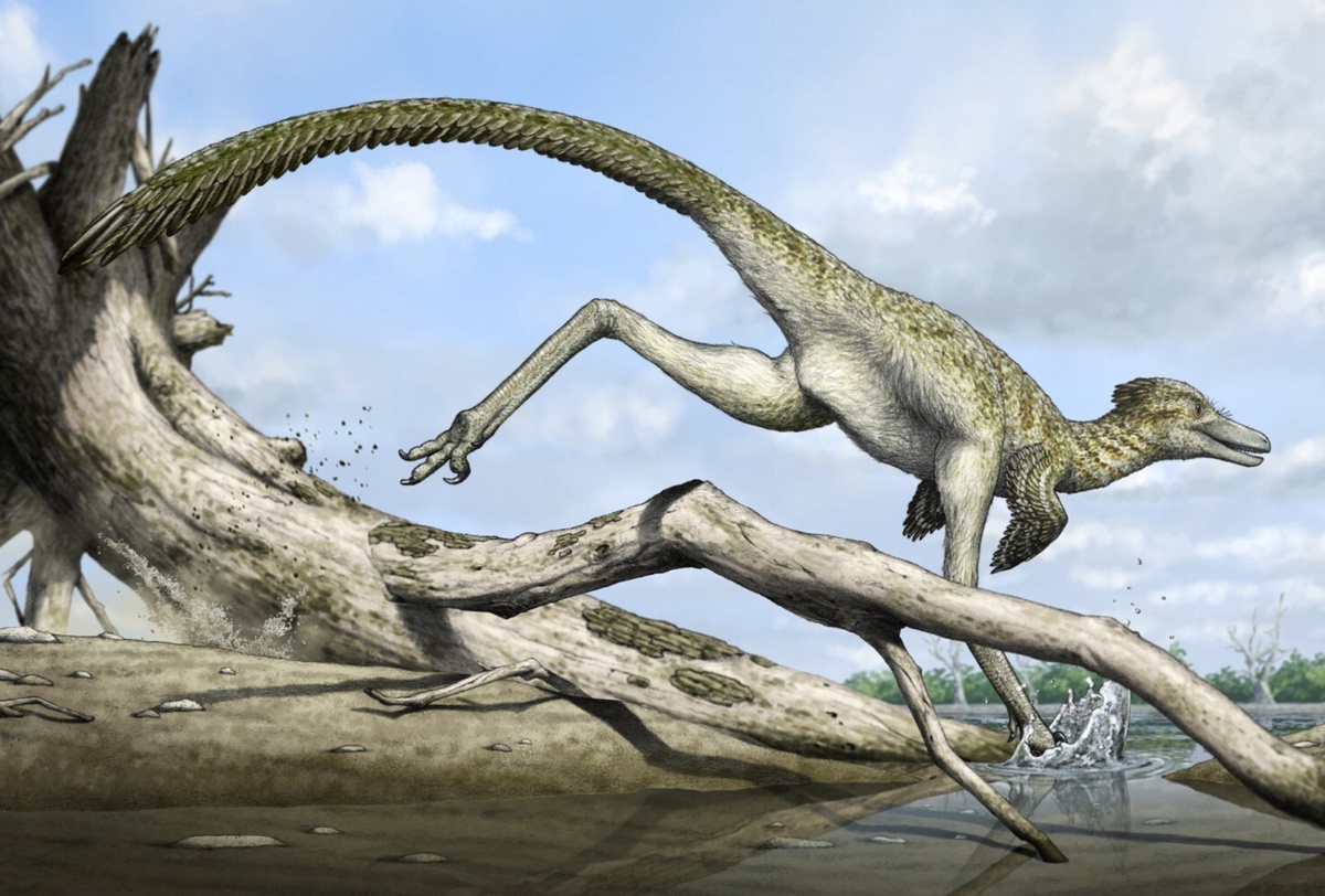 Реконструкция внешнего облика Харенадрако