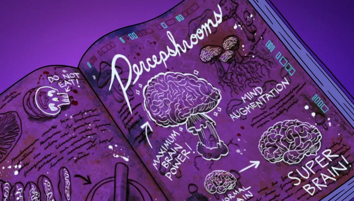 Тот самый загадочный гриб-мозговик    📷