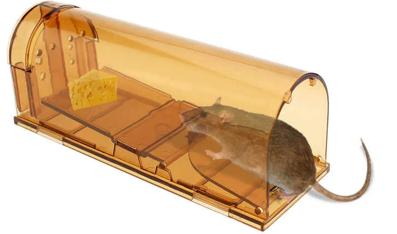 Добавьте описание