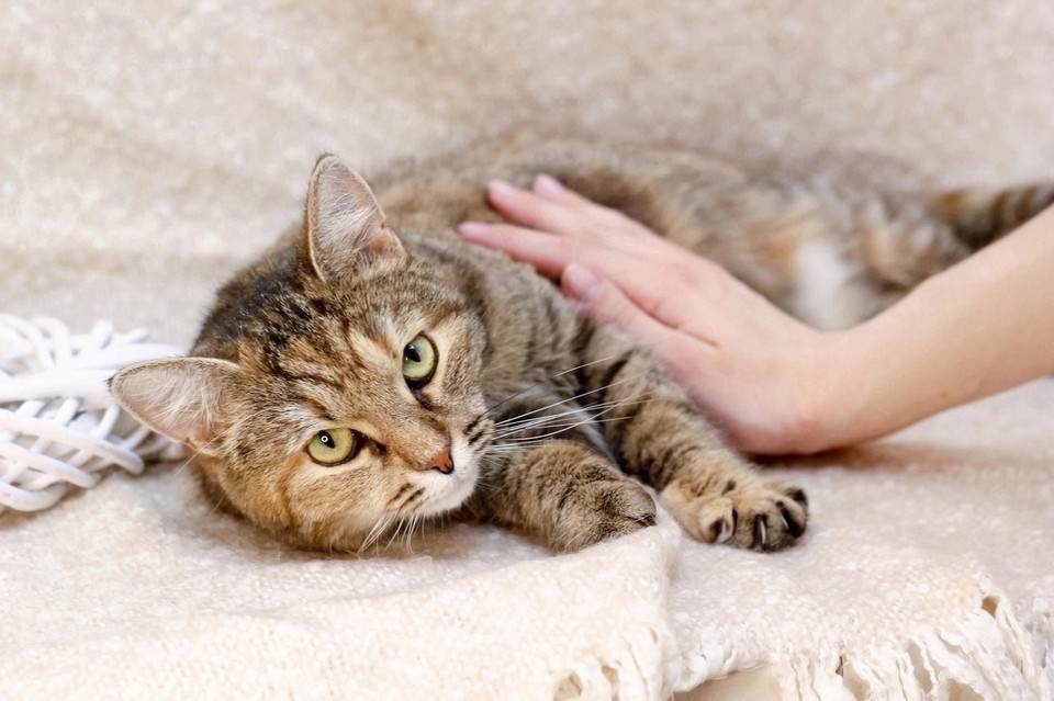    Фото: личный архив Гали Море.