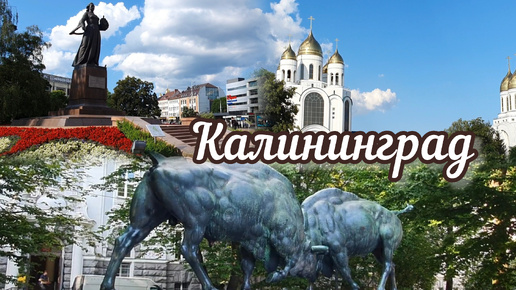 По центру Калининграда жарким летним днём !#калининград#кёнигсберг#россия