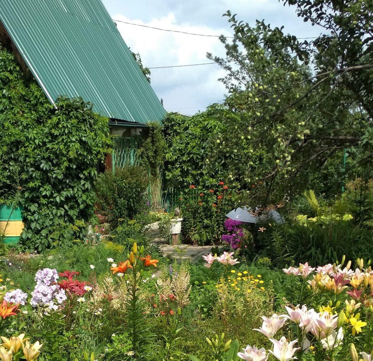 Фото автора канала