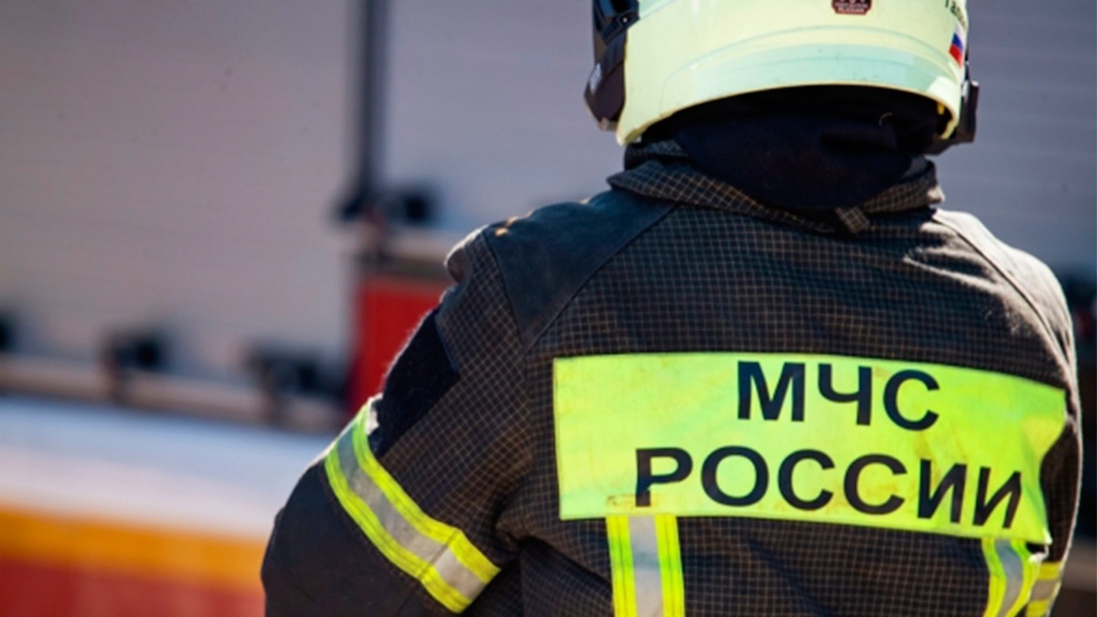 Фото: https://tvzvezda.ru/ (https://mcdn2.tvzvezda.ru/storage/news_other_images/2024/03/10/8b720dca9f88458e9c57582c427e6e8b.jpg)