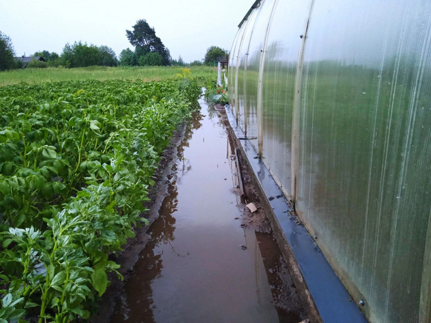    Град и ливень уничтожили часть урожая в Слободском районе