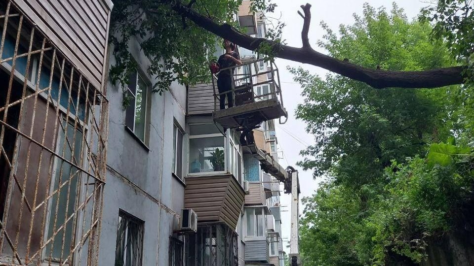     Источник: ozelen_vl
