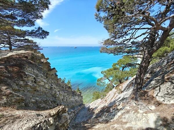    Фото: Юрий Серебренников/BFM Кубань