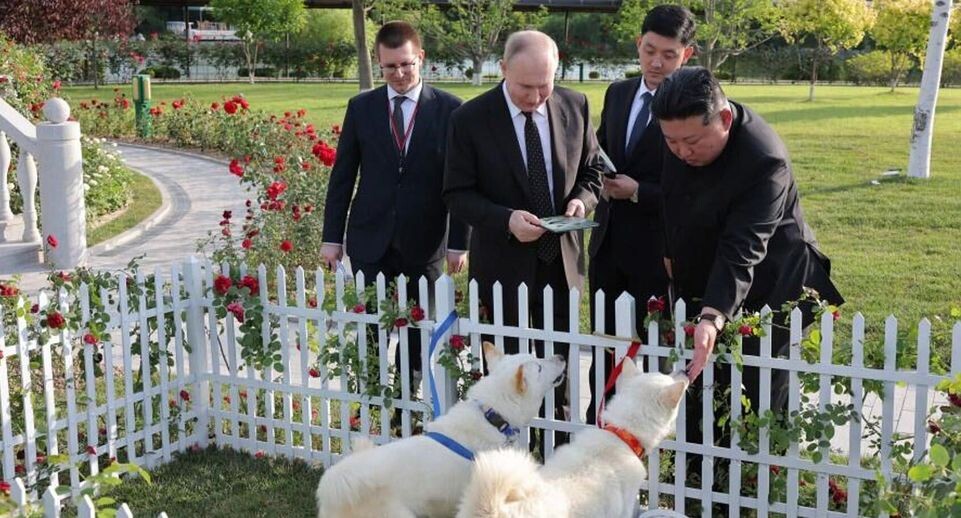    ЦТАК