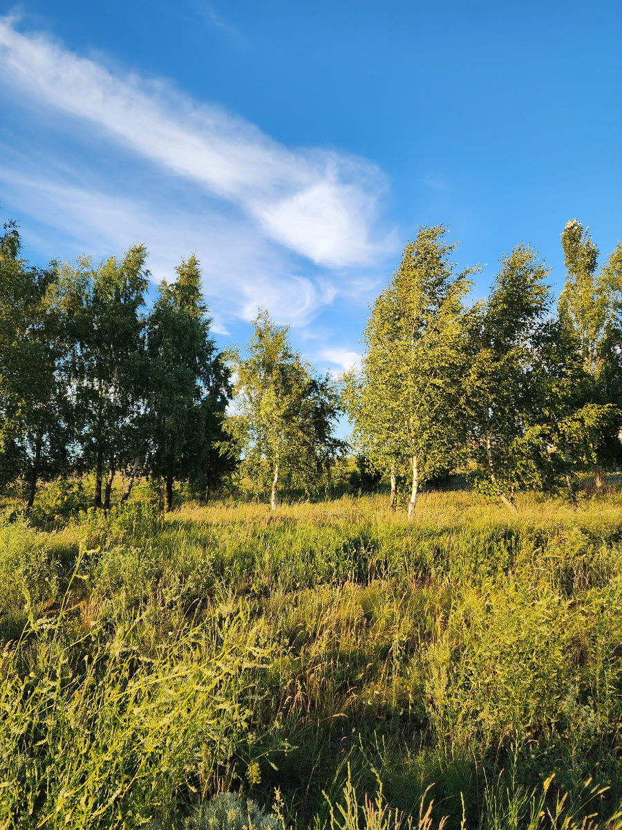 Энергия Солнца, Воды, Земли и Деревьев - самая мощная из всех существующих! Она доступна каждому из нас, нужно лишь принять 