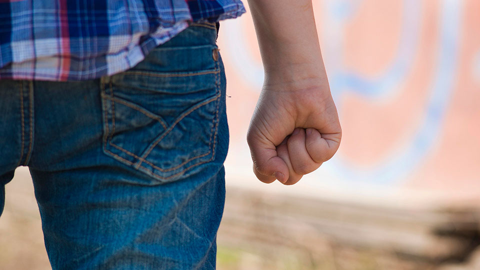 Фото: Global Look Press/uwe umstätter/imageBROKER.com (из архива)