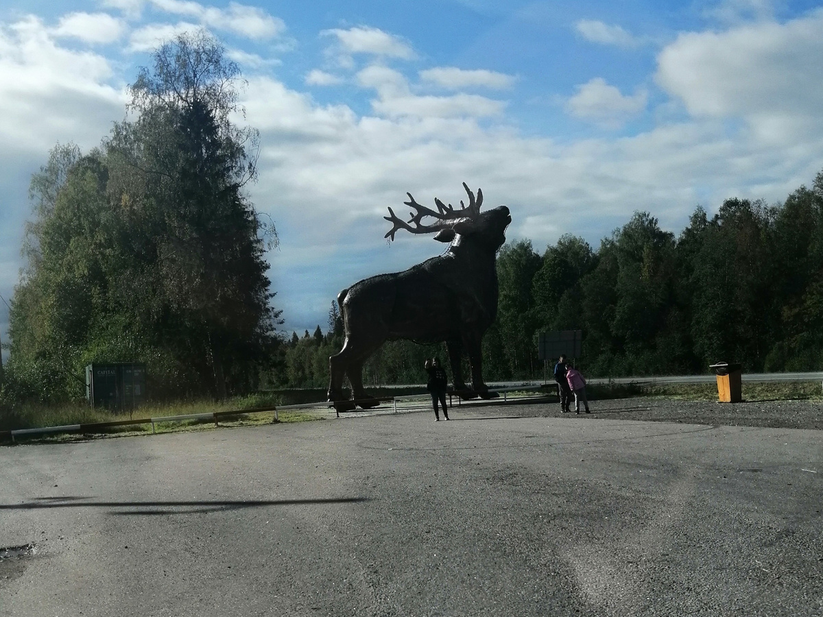 Поворот к зоопарку. Мимо не проедешь.. 
