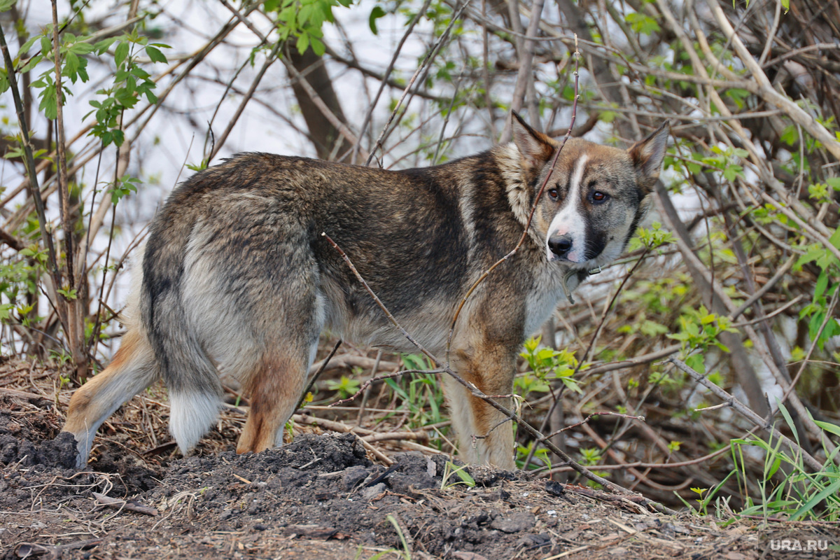 Фото: Екатерина Сычкова © URA.RU