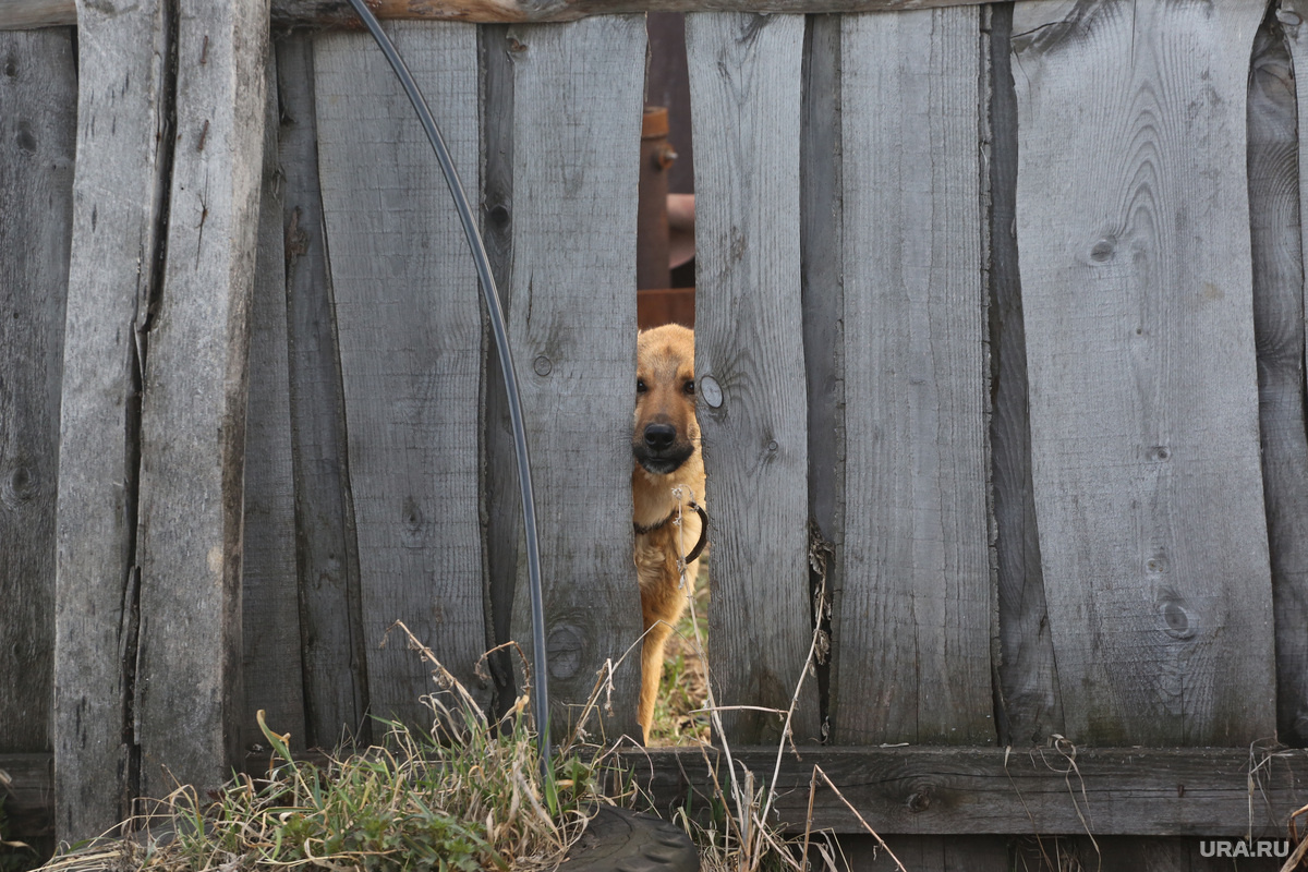 Фото: Денис Моргунов © URA.RU