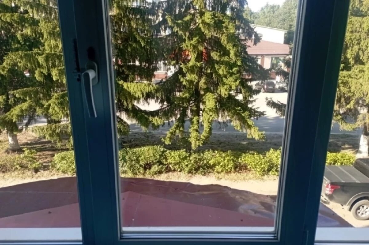    В Пензенской области пенсионерка вытолкнула знакомую в окно