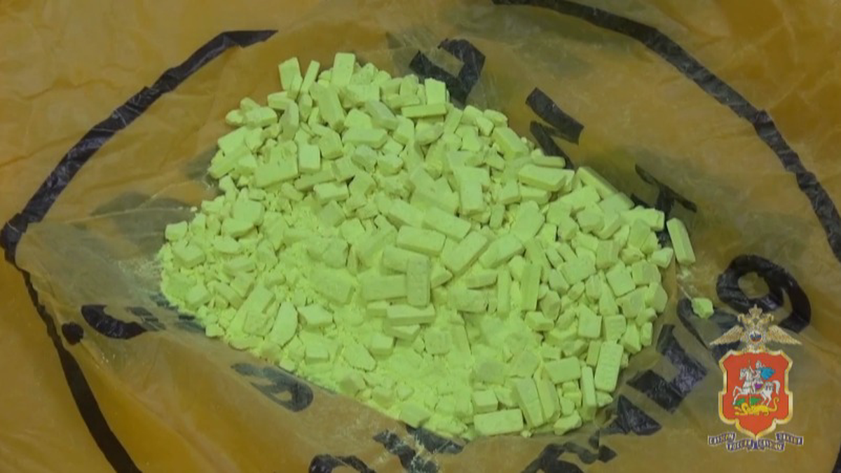    Фото: Пресс-служба ГУ МВД России по Московской области