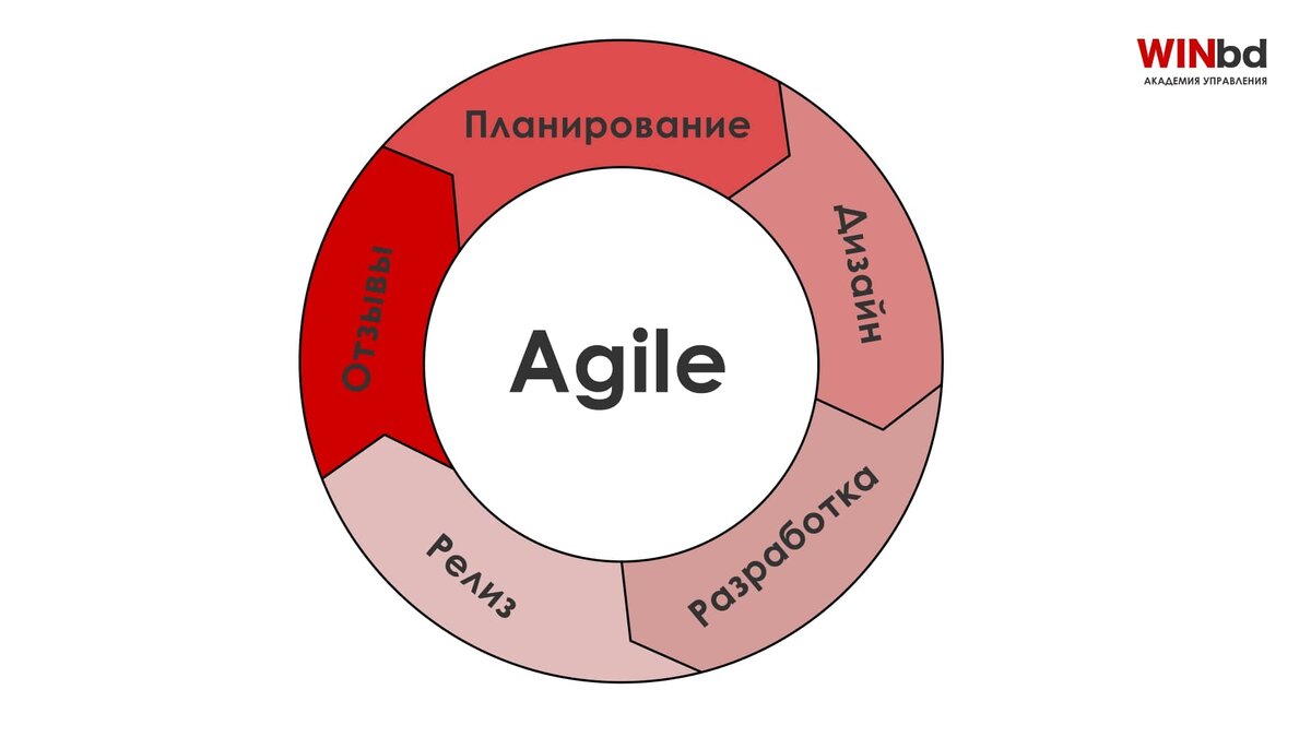 Этапы методологии Agile