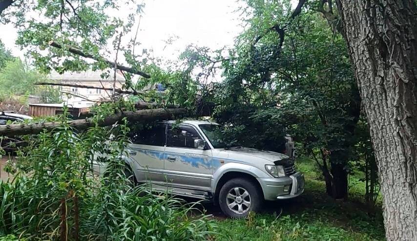    Источник фото: