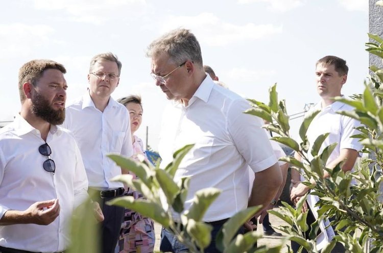     В Ставропольском крае взят курс на суперинтенсивное садоводство и переработку плодов в регионе
