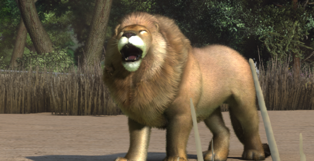 Регион обитания: Африка