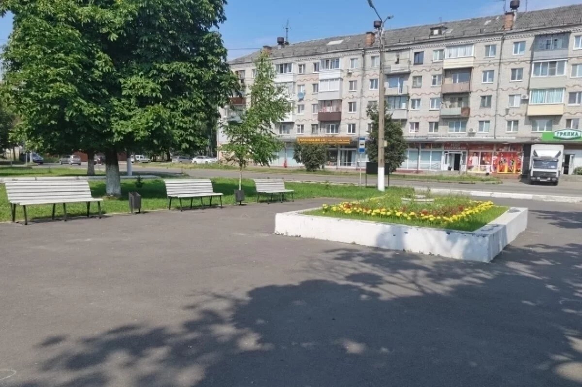    Зону отдыха перед ДК Кравцова планируют обустроить в Брянске