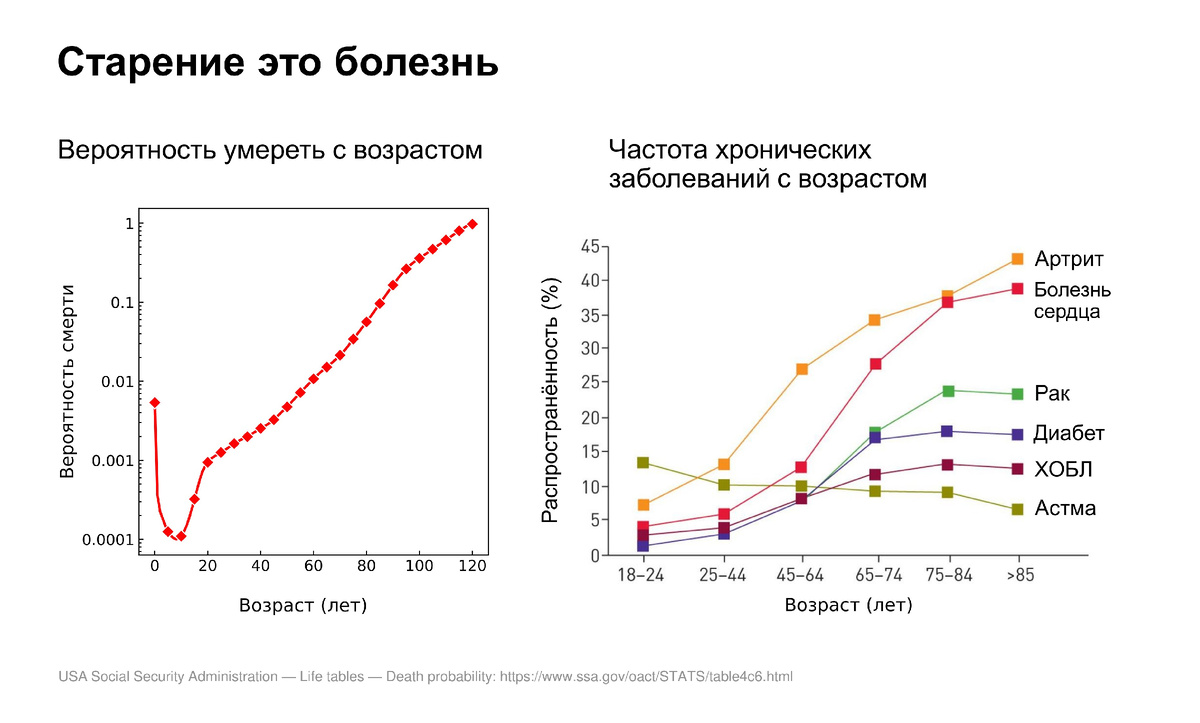 Можно ли вылечить старение? | Научный дзен в Сколтехе | Дзен